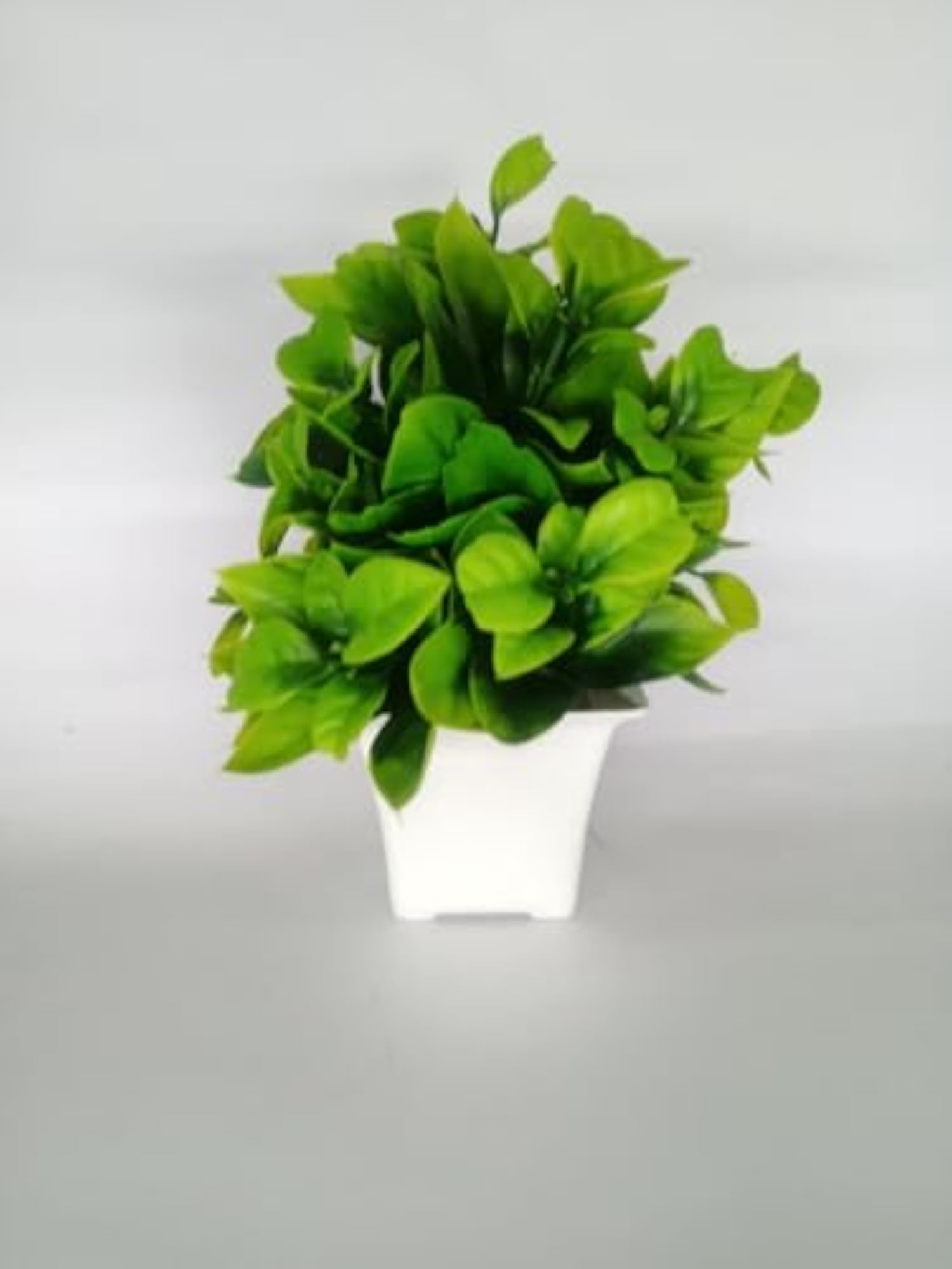 Modern Artificial Green Plant in White Ceramic Pot for Home Decor